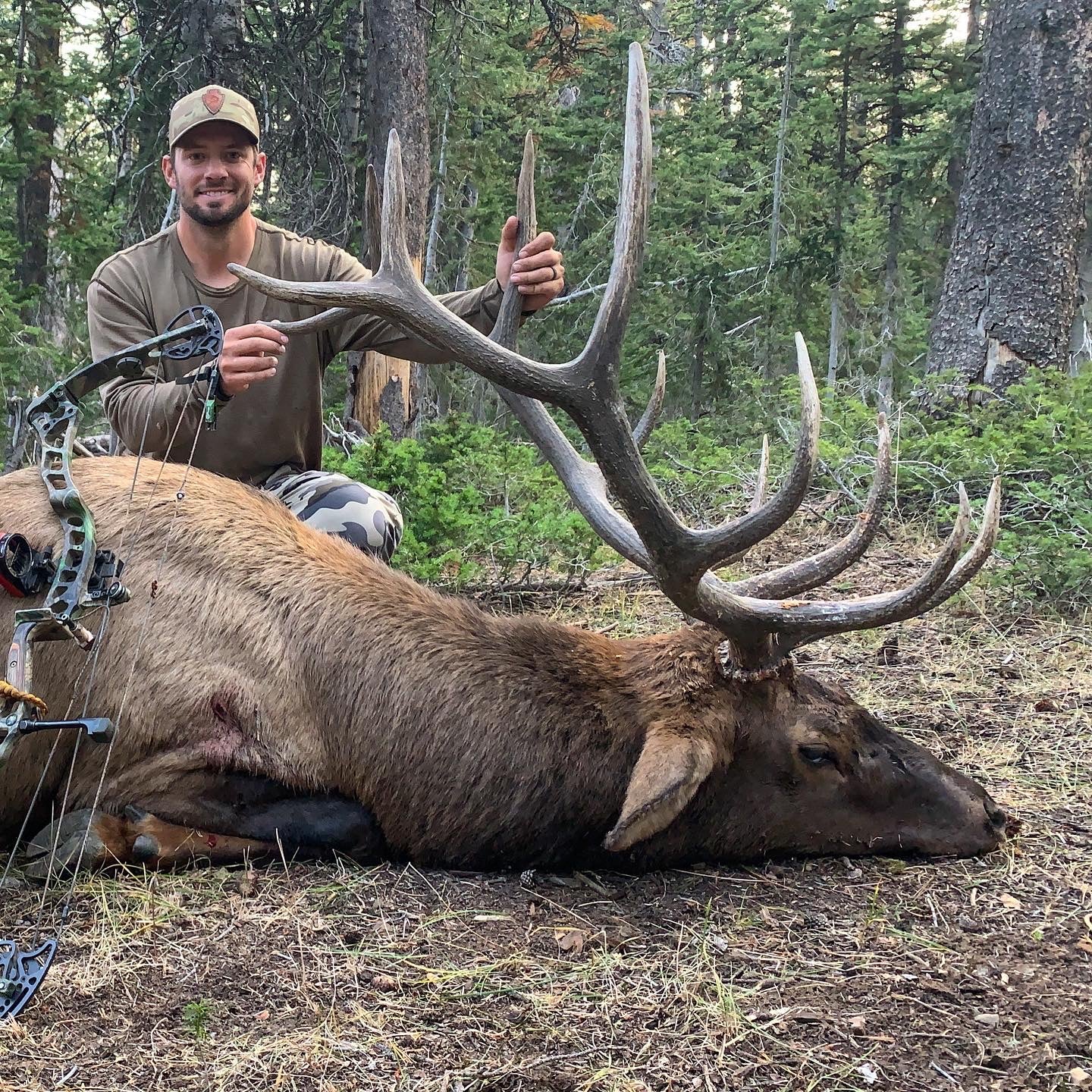 Signature Lid - Green Camo